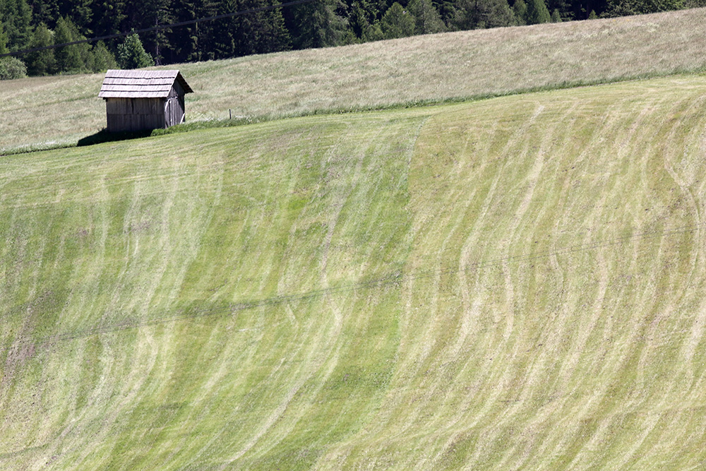 Eine abschüssige grüne Wiese mit wirbelnden Mustern aus frisch geschnittenem Gras neben einem kleinen Holzschuppen, umgeben von Bäumen im Hintergrund.