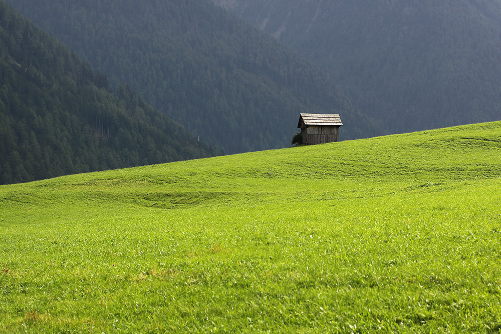 Eine einsame Holzhütte steht auf einem leuchtend grünen Hügel, umgeben von saftigem Gras und fernen, nebelverhangenen Bergen.