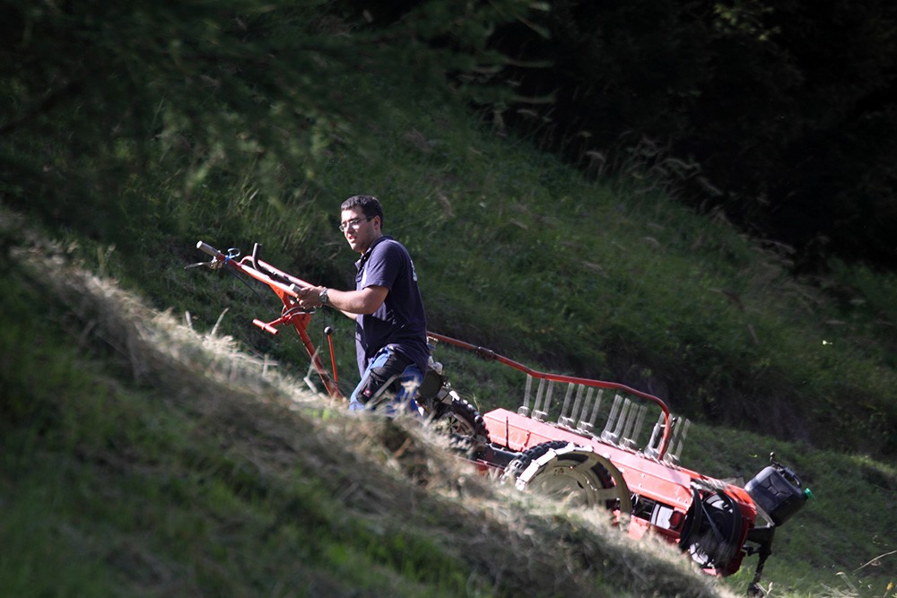 Eine Person bedient ein kleines Mähgerät auf einem grasbewachsenen Hügel, umgeben von üppigem Grün und Sonnenlicht, das durch die Bäume fällt.