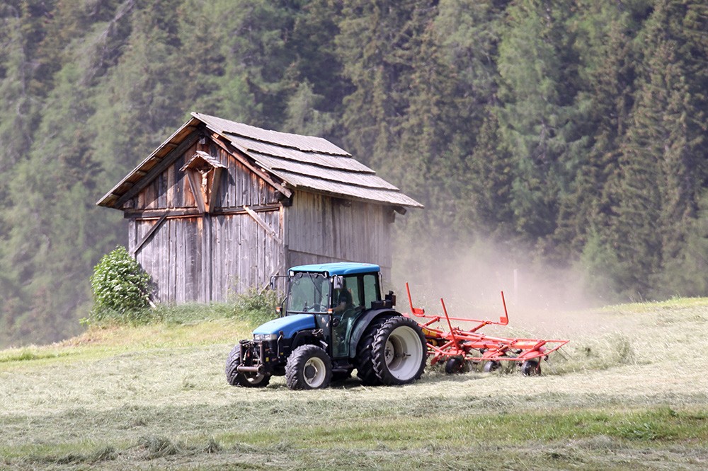 Ein blauer Traktor pflügt ein grasbewachsenes Feld in der Nähe einer rustikalen Holzscheune, umgeben von üppigen Bäumen und Staubwolken von der Arbeit.